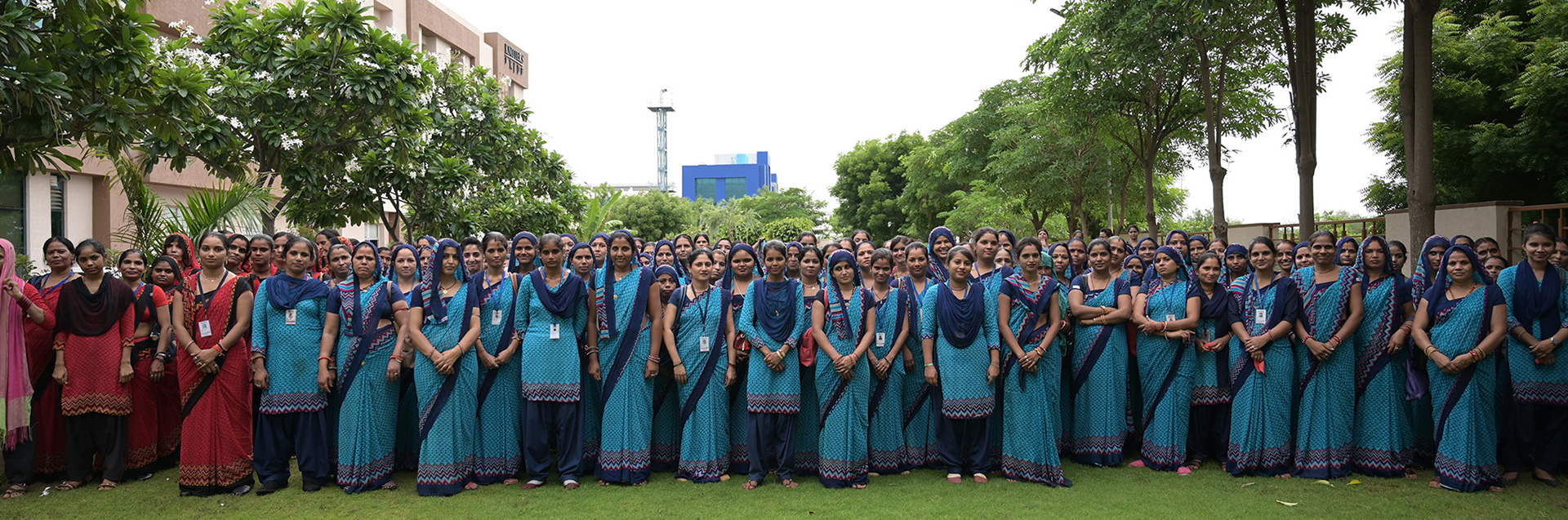 The making of Our Needles Hero Banner